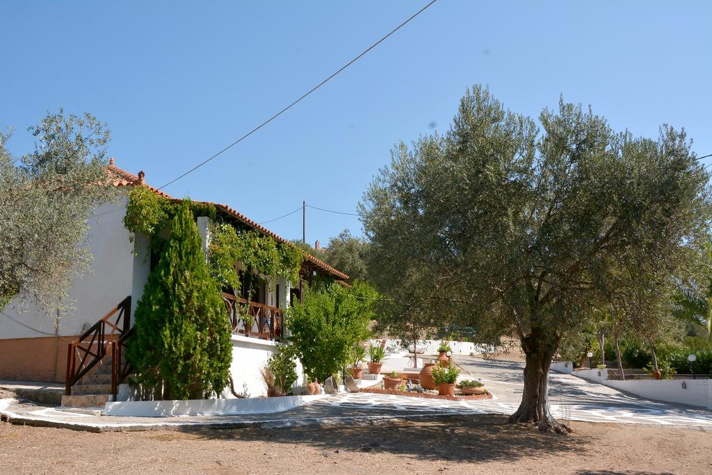 Sonia Studios Nees Kidonies Exterior foto